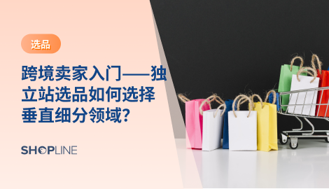 随着跨境电商市场的不断扩大，越来越多的跨境电商卖家开始考虑跨境独立站的建设。在独立站的建设过程中，选品是非常关键的环节。垂直细分领域作为一种跨境电商选品的方法和技巧，越来越受到卖家的青睐。那么，独立站卖家应该如何选择垂直细分领域呢？