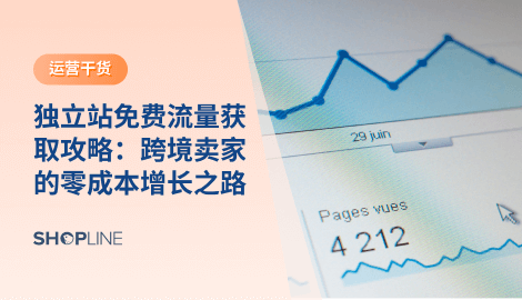 对独立站卖家来说，免费流量与付费流量不是对立的，而是互补关系。前期依靠广告起步，后期通过免费流量降低获客成本，最终形成健康的流量组合。